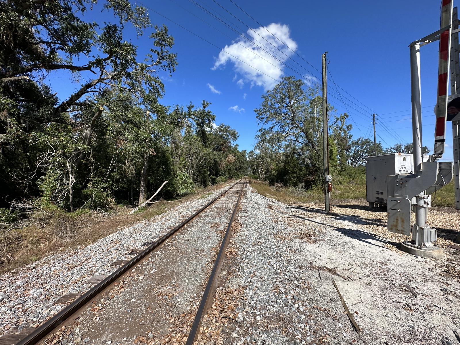 Foley Road (Perry, FL) (OOS)