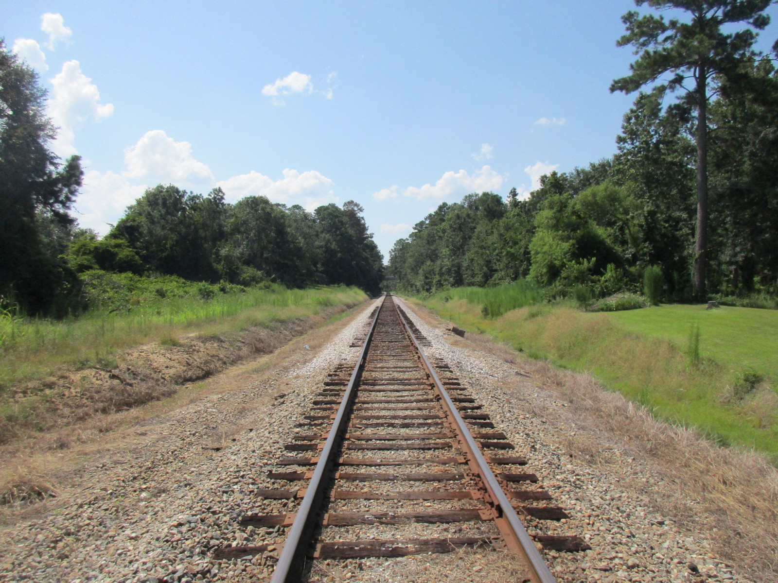 Attapulgus Climax Road (Climax, GA)