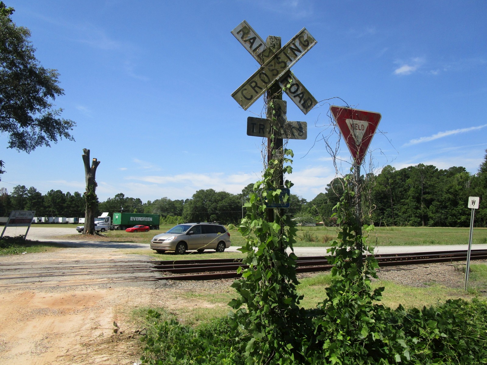 Pine Street (Collins, GA)