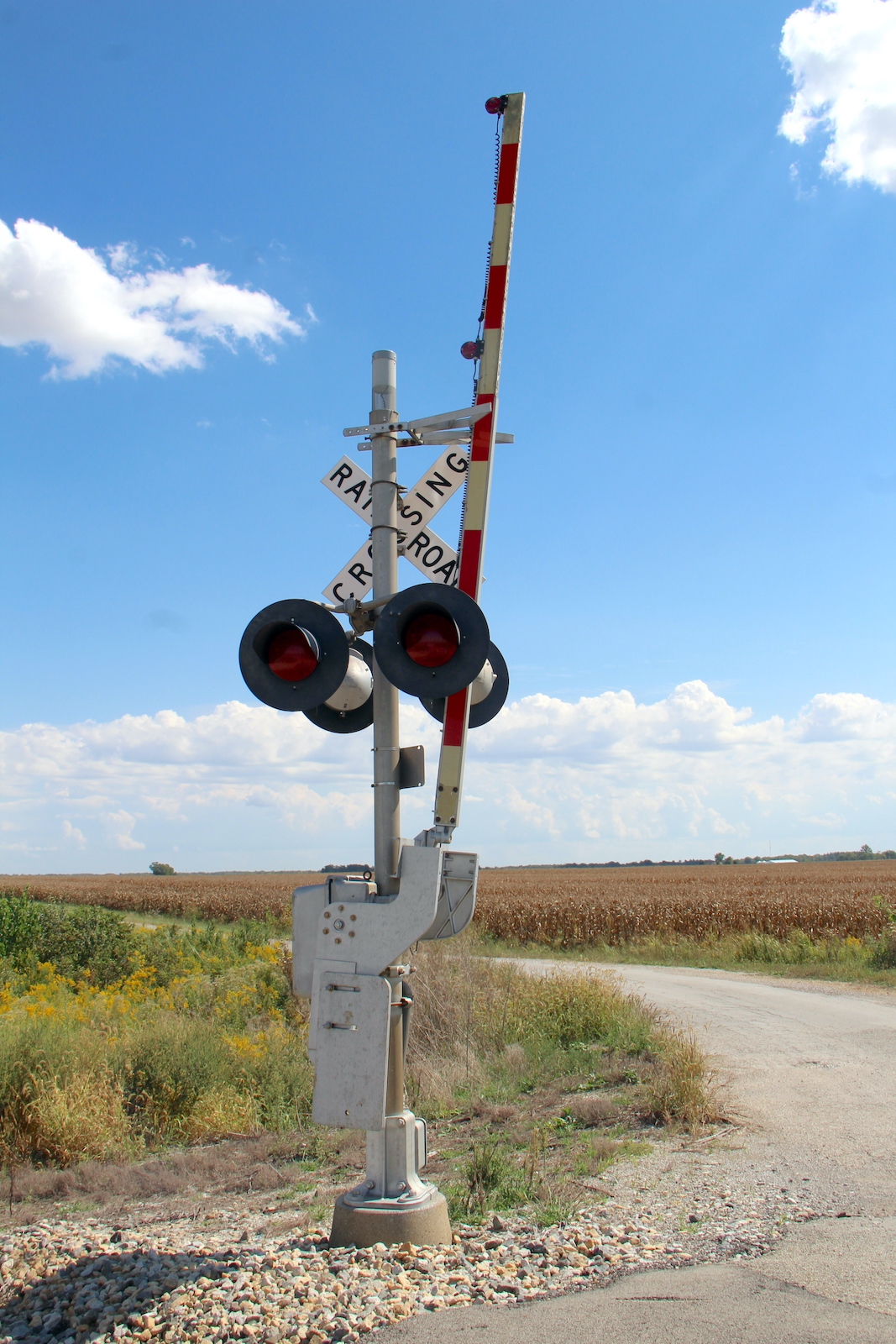 CR 800 N. (Farina, IL)