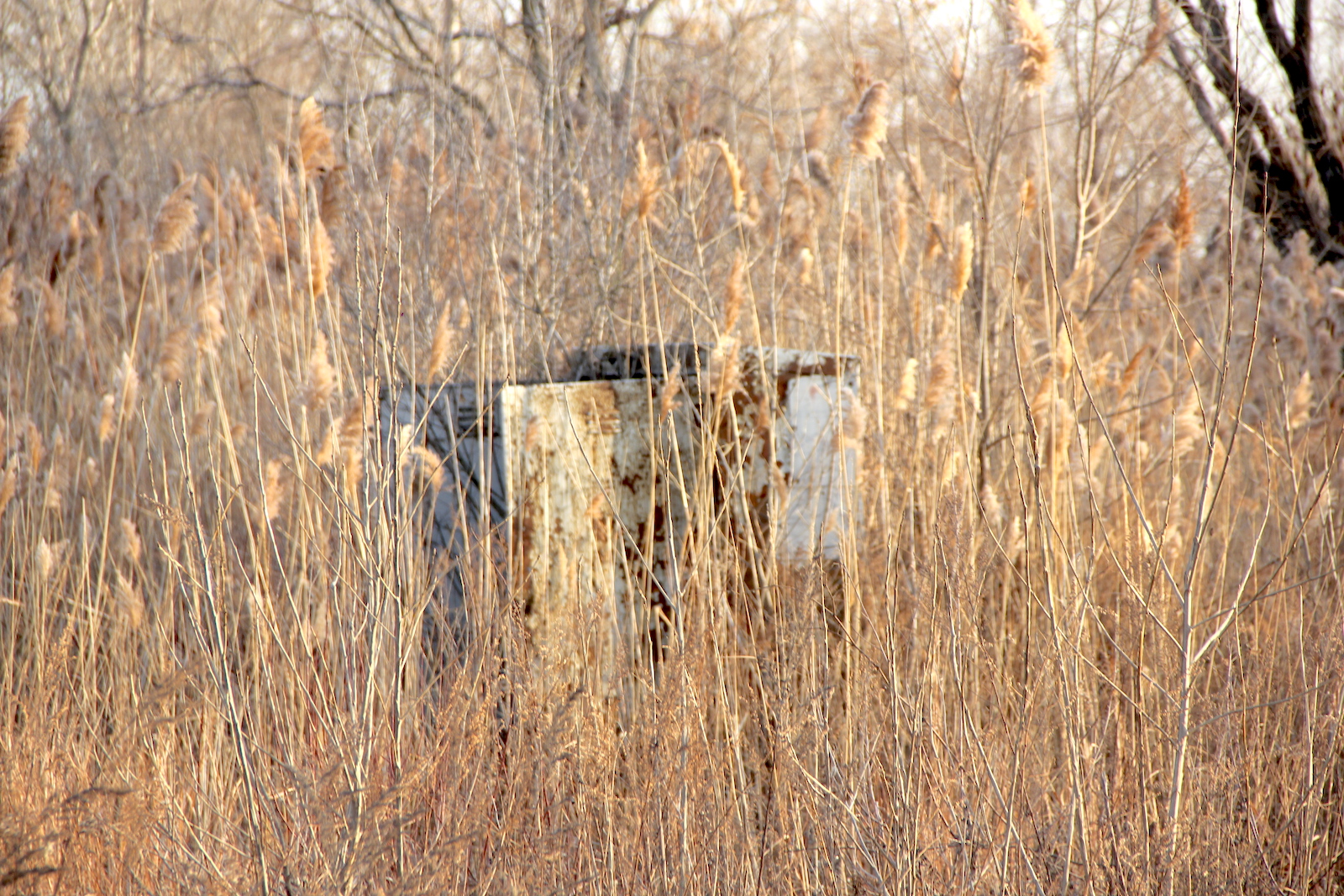 Clark Rd. #7 (Gary, IN)
