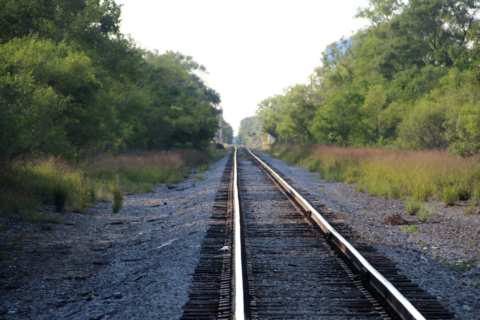 Virginia St. #5 (Gary, IN)