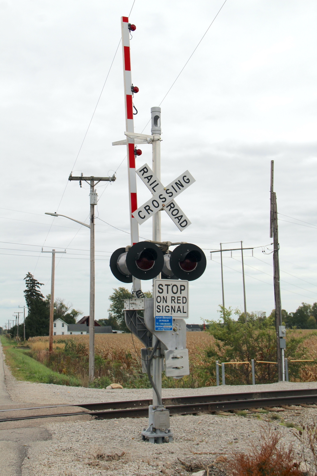 Todd Rd. (Samaria, MI)