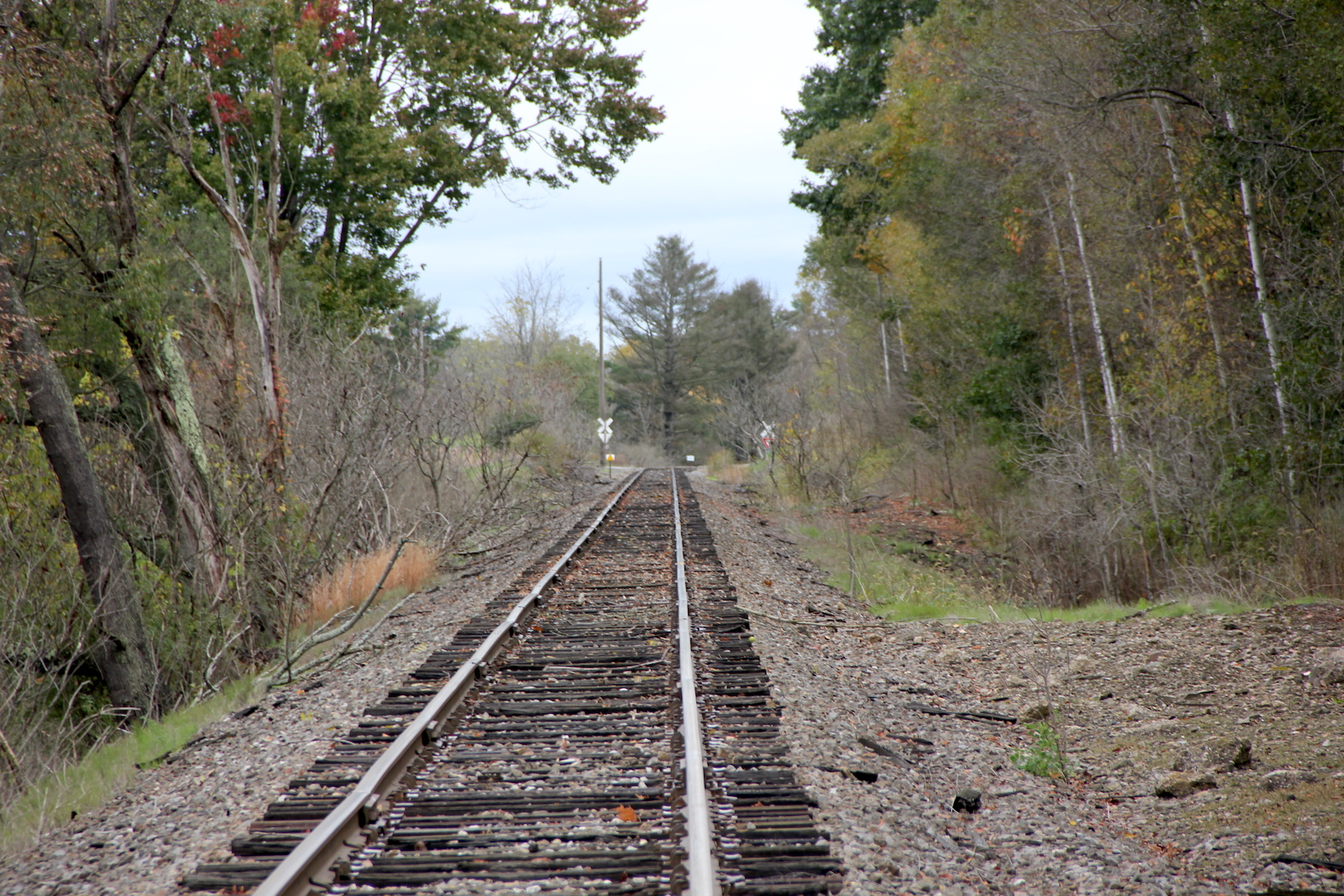 Porter Rd. (Mill Village, PA)