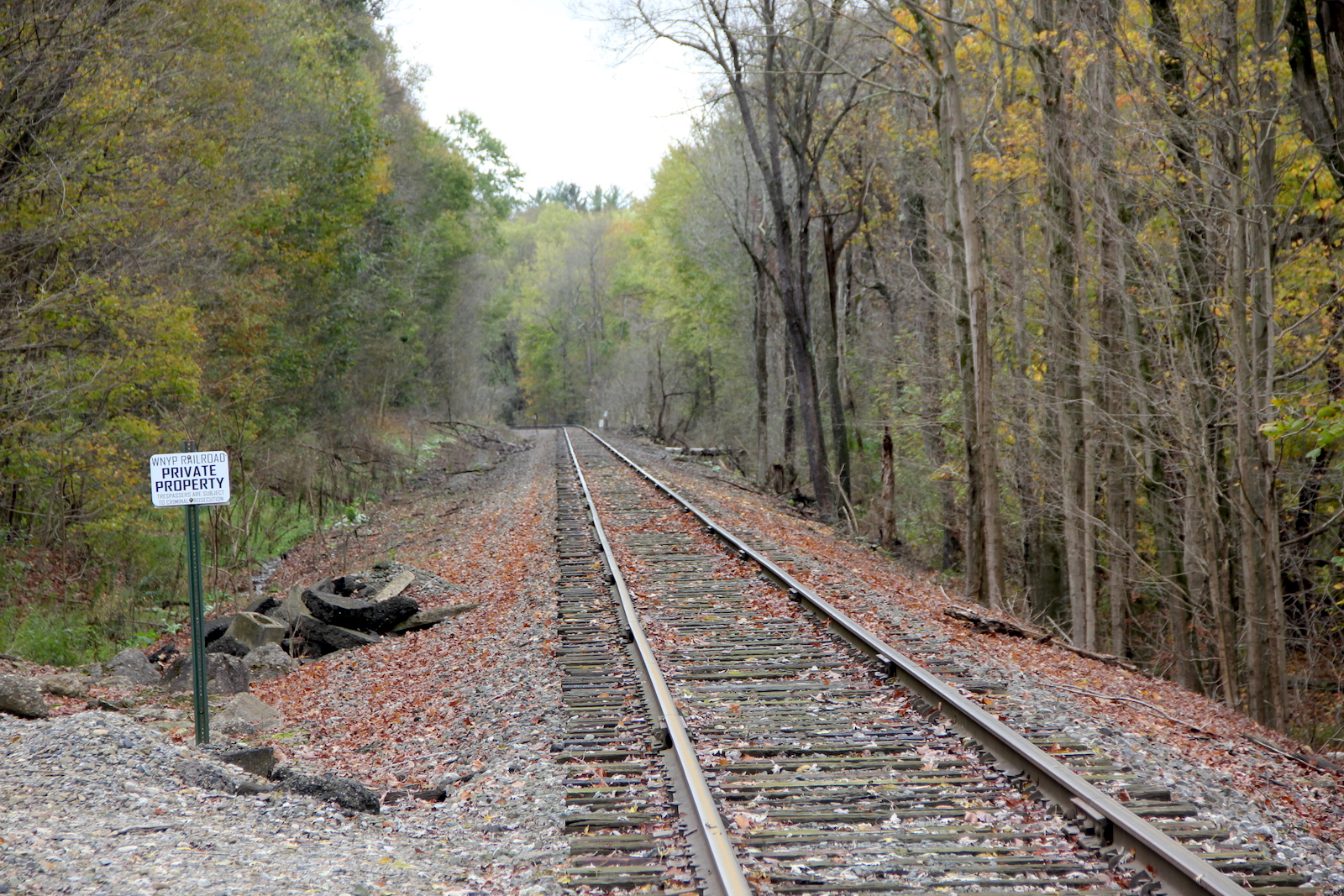 Porter Rd. (Mill Village, PA)