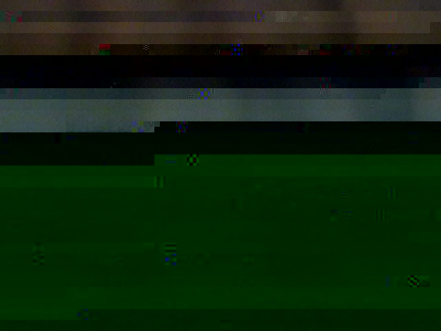 IMGA0338.jpg