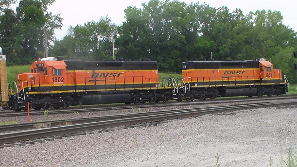 SAM_1519_1.jpg