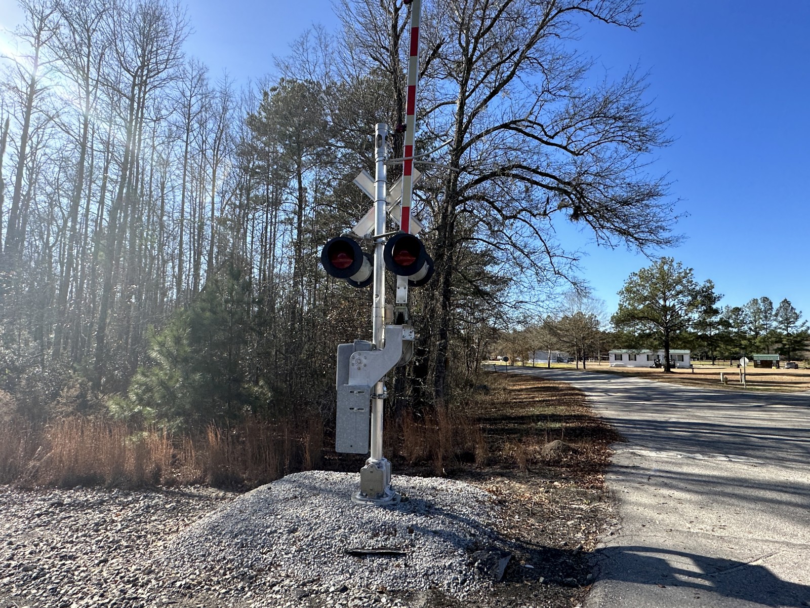 Hollyhock Road (Rowesville, SC)