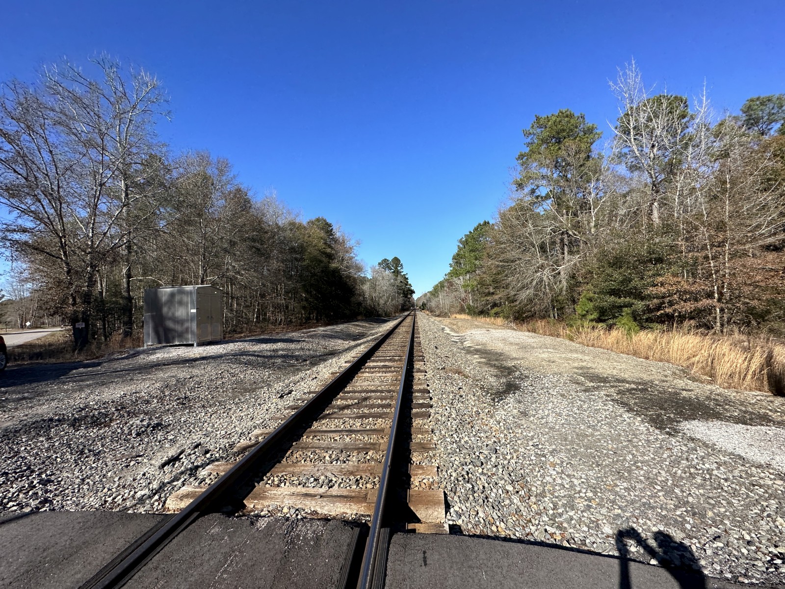 Hollyhock Road (Rowesville, SC)