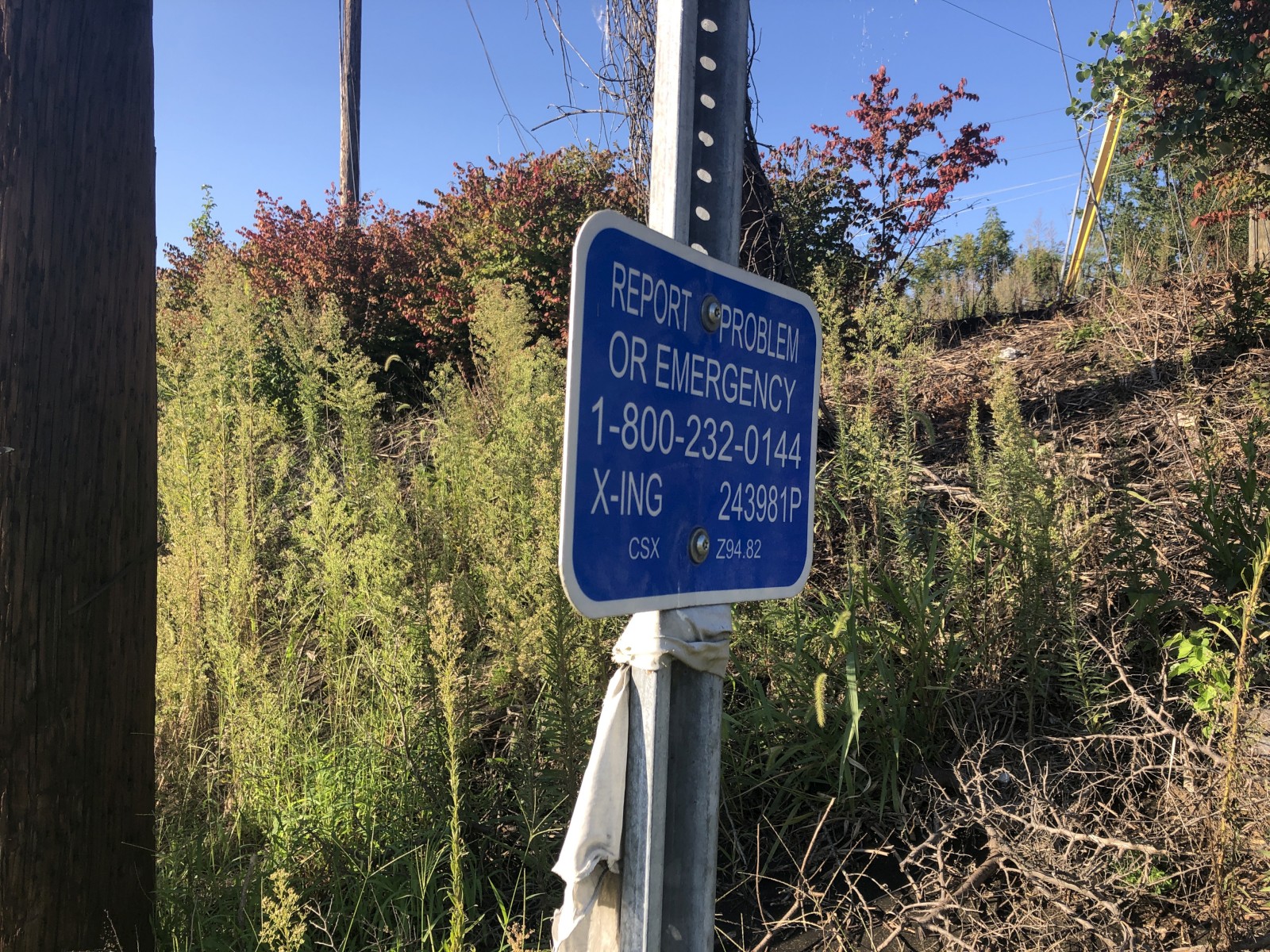 Lincoln Street (Kingsport, TN)